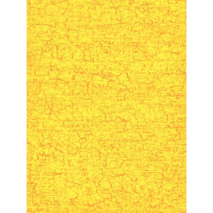 Pochette de 30 feuilles pour Decopatch motifs fantaisie PS30F23MAJC DECOPATCH