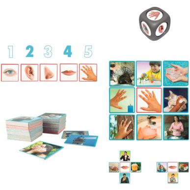 Article scolaire 235848