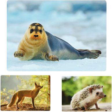 Article scolaire 525932