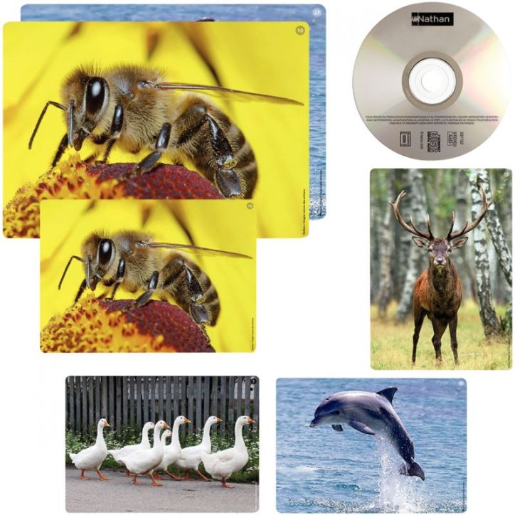 Imagier sonore des animaux 342212/000483119 NATHAN