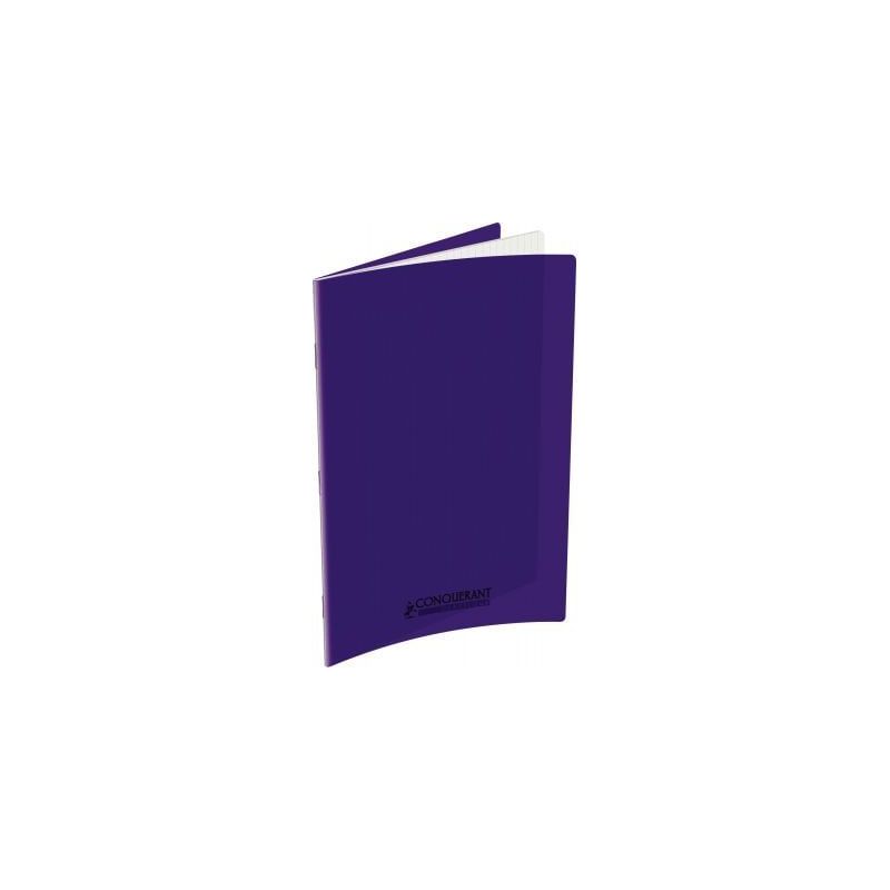 Achetez Piqûre 96 pages 24x32 cm, seyès 90g couverture polypropylène violet 100105481 HAMELIN pas..