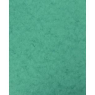 Achetez lot de 10 Protège-cahier 2 grands rabats  format 18 x 22 cm carte lustrée coloris vert P41..