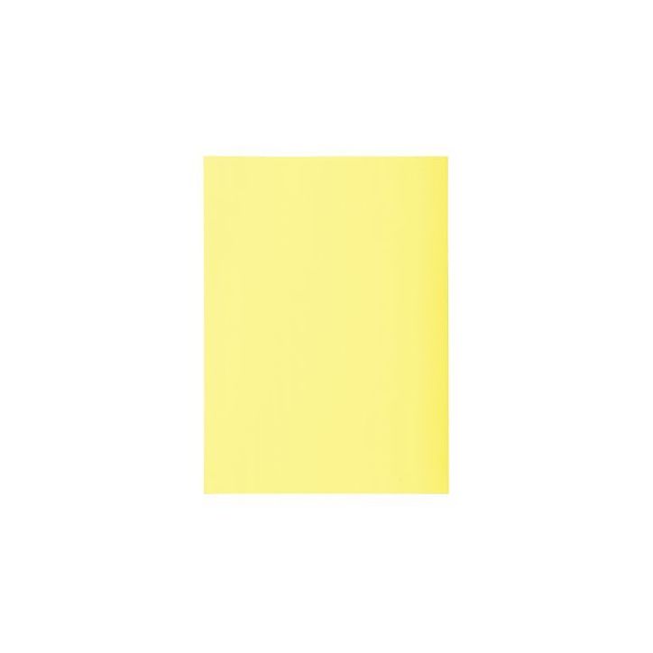 Paquet de 250 sous-chemises 60g Format 22x31 cm canari 850005E SUPER EXACOMPTA