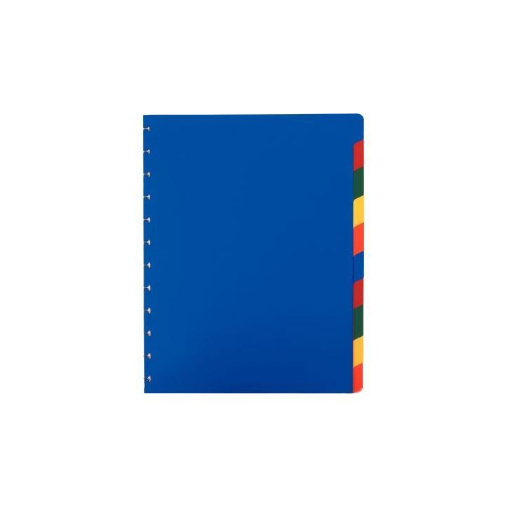 Jeu de 10 intercalaires ADOC COLOR en polypropylène 1899-100