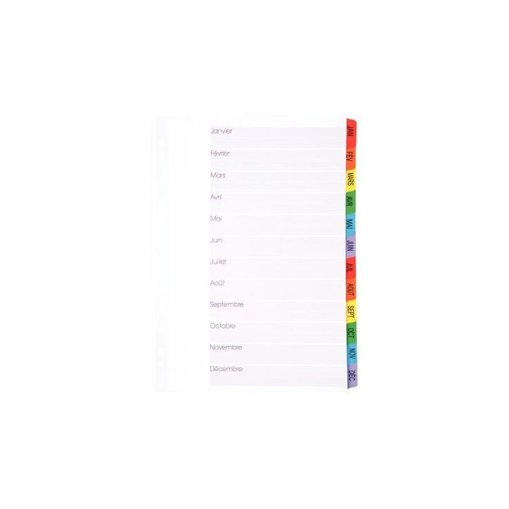 Intercalaires 12 touches de janvier à décembre format A4+ 8337412-980 LANDS