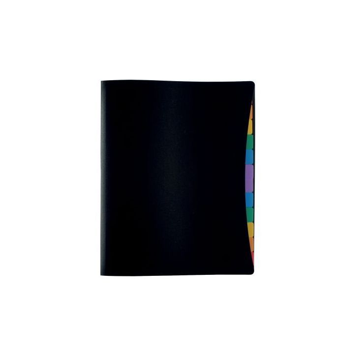 Trieur porte-vues en polypropylène, 12 compartiments 491067-05 RAINBOW CL VIQUEL