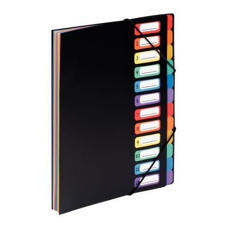 Achetez VIQUEL Trieur vertical RAINBOW 12 compartiments à  soufflet en polypro 5/10, Noir intérie..