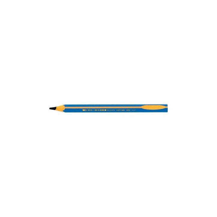 boîte de 12 crayons graphite d'apprentissage corps bleu 919262 BIC