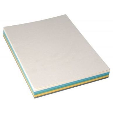 Achetez Paquet de 100 couvertures grain cuir 250g A4 coloris assortis 8055043 pas cher sur Ma Rentr ..