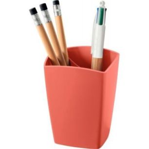 Achetez Pot à crayons Terra Nova 1005300091 TERRA NOVA CEP pas cher sur Ma Rentrée Scolaire