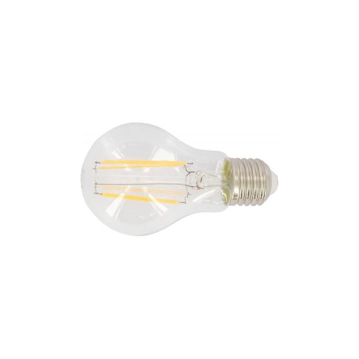Ampoule LED standard E27 6 watts 180679