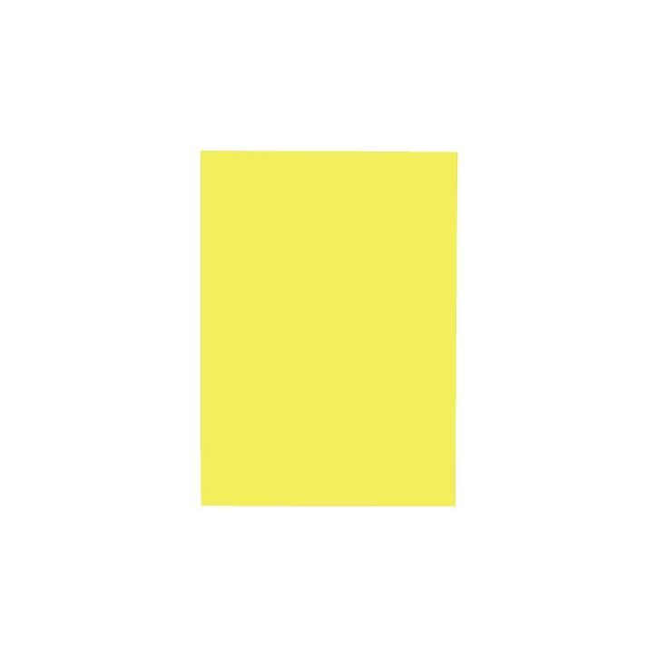 Boîte de 2400 étiquettes fluo multi-usages 37x70mm jaune 3160