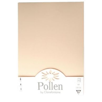 Achetez Paquet de 50 feuilles Pollen 210x297mm 120g ivoire 4204C POLLEN CLAIREFONTAINE pas cher sur ..