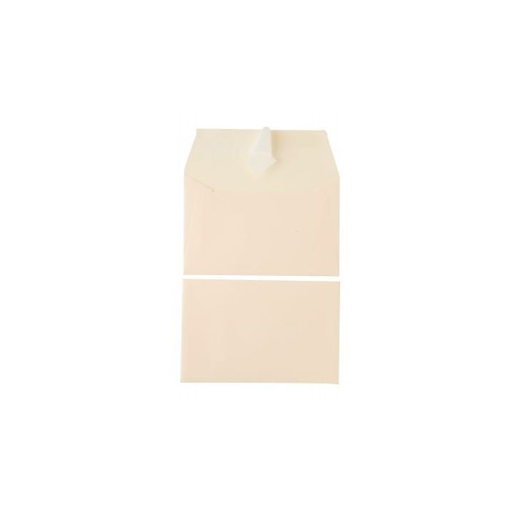 Paquet de 20 enveloppes Pollen 90x140mm 120g ivoire 5441C POLLEN CLAIREFONTAINE