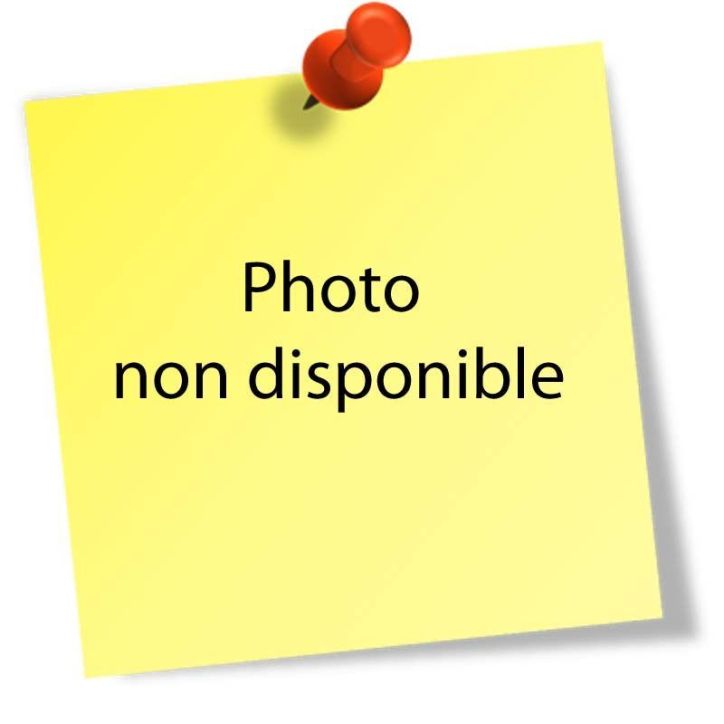 Carton de 50 pochettes bulle papier renforcé 350x470 153500111 JOVIMAIL JOVIPACK