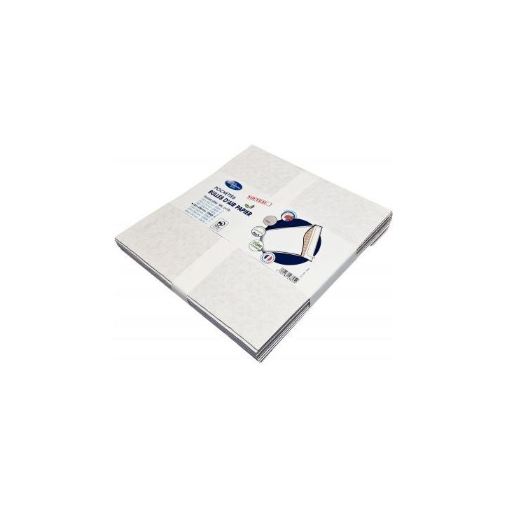 Paquet de 10 pochettes bulle air blanc  220 x 265 mm 23805 LA COURONNE