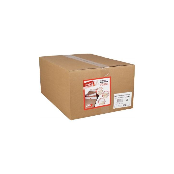 Carton 250 pochettes aller retour kraft 340 x 420 80BS 4571 GPV