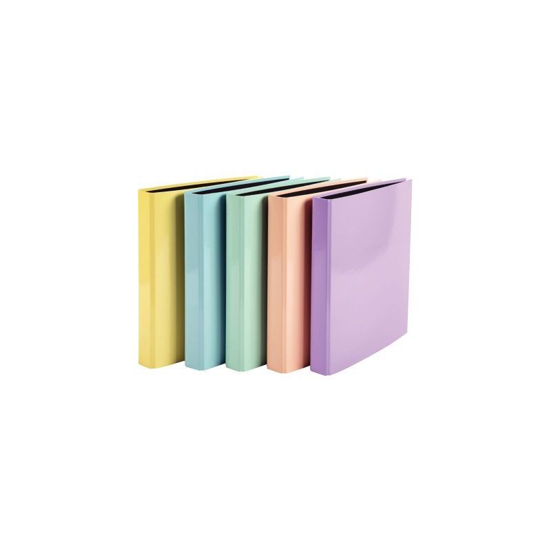 Achetez Carton de 10 classeurs 4 anneaux, dos 4 cm, en carte rigide pelliculée AQUAREL, coloris ass..