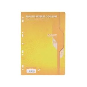Achetez Sachet de 50 feuillets mobiles (100 pages) format 21x29,7cm séyès 80g coloris jaune 7964C ..