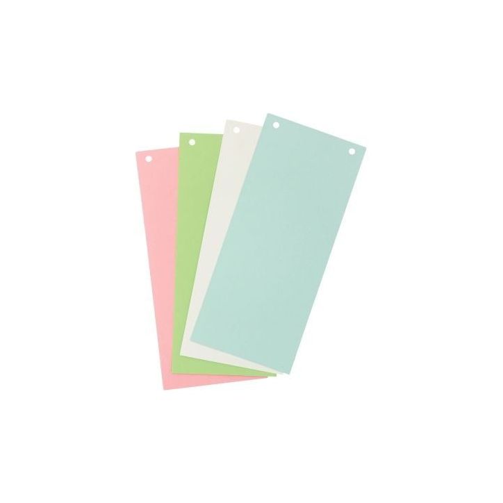 Paquet de 100 fiches intercalaires rectangulaires FOREVER 180g, coloris assortis 13495B FOREVER EXACOMPTA