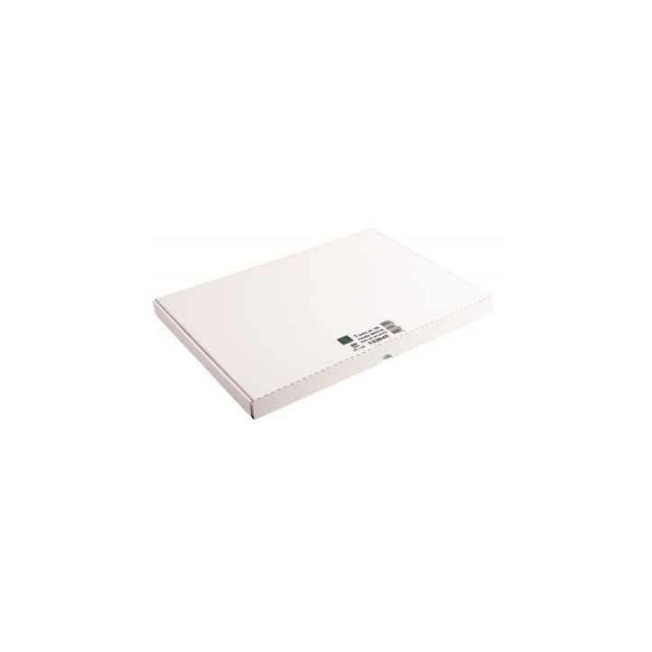 Boîte de 100 fiches bristol non perforées carte forte 205 g uni blanc 29,7 x 42 cm 13304E EXACOMPTA