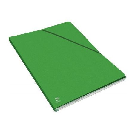 Achetez Carton de 10 chemises EUROFOLIO+ ALPINA, dos 15 mm, vert 400126335 ALPINA HAMELIN pas cher s..