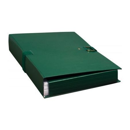 Achetez Chemise extensible EXTENSOR à rabat, format 24x32 cm, vert 22007E EXTENSOR EXACOMPTA pas ch..