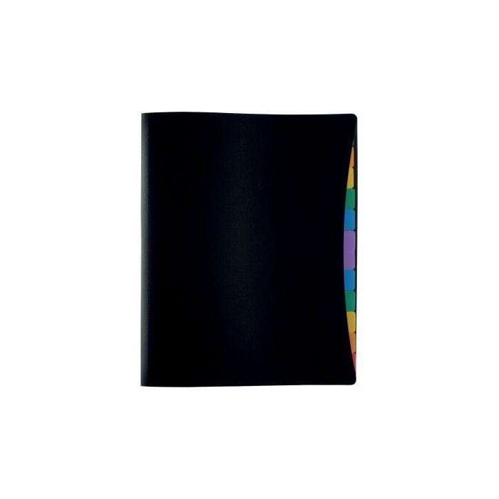 Trieur porte-vues en polypropylène, 12 compartiments 491067-05 RAINBOW CL VIQUEL