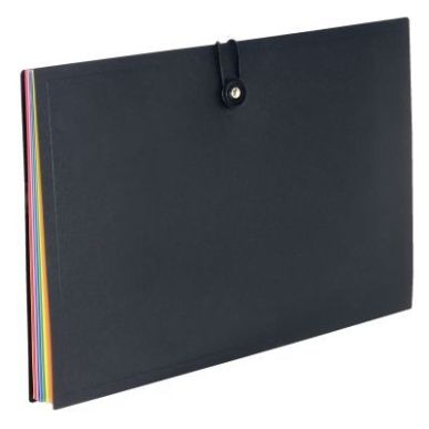 Achetez Trieur extensible Rainbow Class en polypropylène, 8 compartiments 110087-05 VIQUEL pas cher..