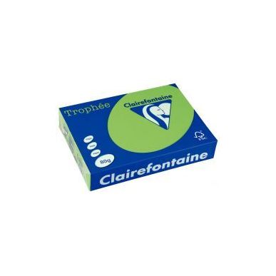 Achetez CLAIREFONTAINE Ramette de 500 feuilles papier couleur TROPHEE 80 grammes format A4 Vert ment..