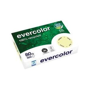 Achetez Carton de 5 ramettes de 500 feuilles format A4 80g jaune recyclé 40005CX5 EVERCOLOR CLAIREF..