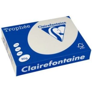 Achetez CLAIREFONTAINE Ramette de 500 feuilles papier couleur TROPHEE 80 grammes format A4 Gris perl..