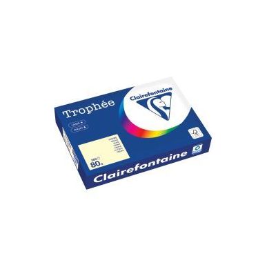 Achetez Carton de 5 ramettes de 500 feuilles format A4 80g ivoire CLAIREFONTAINE 1871PCX5 TROPHEE CL..