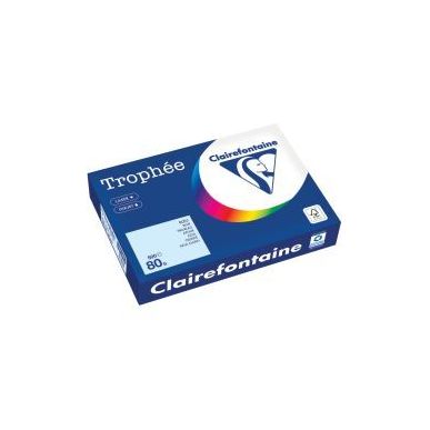 Achetez Carton de 5 ramettes de 500 feuilles format A4 80g bleu CLAIREFONTAINE 1971PCX5 TROPHEE CLAI..