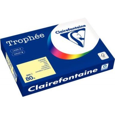 Achetez CLAIREFONTAINE Ramette de 500 feuilles papier couleur TROPHEE 80 grammes format A3 Vert 1882..