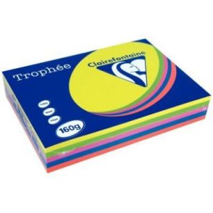 Achetez Paquet de 250 feuilles de papier 160g de format A4 assortis intense TROPHEE CLAIREFONTAINE 1..