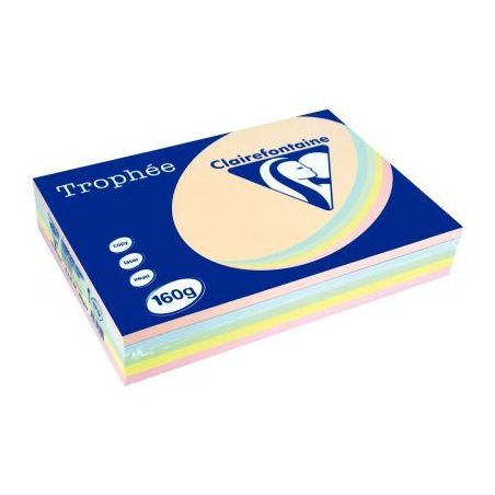 Achetez Paquet de 250 feuilles de papier 160g de format A4 assortis pastel TROPHEE CLAIREFONTAINE 17..