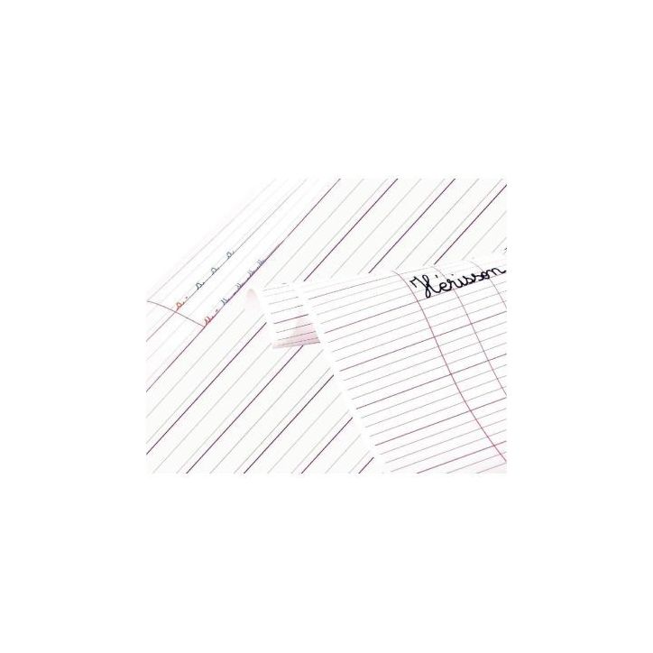 Paquet de 25 affiches imprimées, double lignes 3 mm, 60 x 80 cm 383501C CLAIREFONTAINE