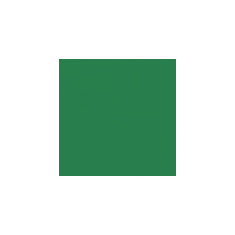 Achetez Paquet de 25 feuilles Cartoline 50x65 cm 120 g  vert foncé 455374C CLAIREFONTAINE pas cher ..