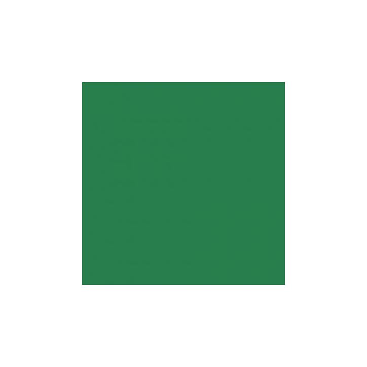 Paquet de 25 feuilles Cartoline 50x65 cm 120 g  vert foncé 455374C CLAIREFONTAINE