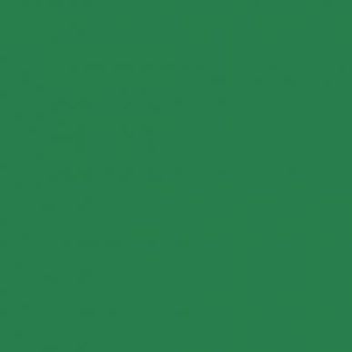 Achetez Paquet de 25 feuilles Cartoline 50x65 cm 120 g  vert foncé 455374C CLAIREFONTAINE pas cher ..