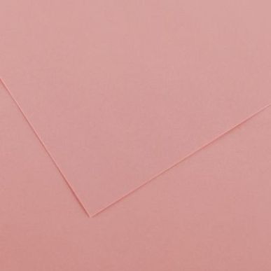 Achetez Paquet de 10 feuilles Colorline 50x65 cm 150 g rose pétale C200041386 CANSON pas cher sur M..