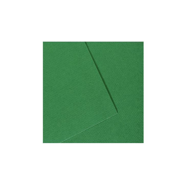 Paquet de 10 feuilles mi-teinte format 50x65 coloris vert billard C31032S114 CANSON