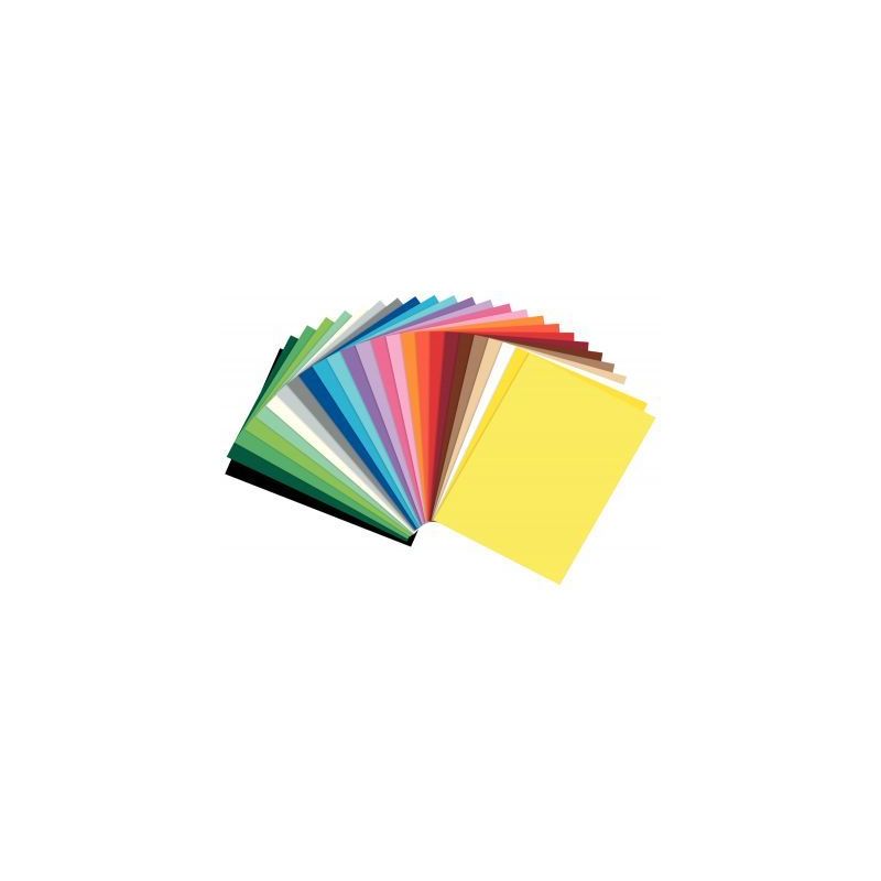Achetez Paquet de 25 feuilles en carton coloris assortis, format 50 x 70 cm, 300 grammes 61/2599 pas..
