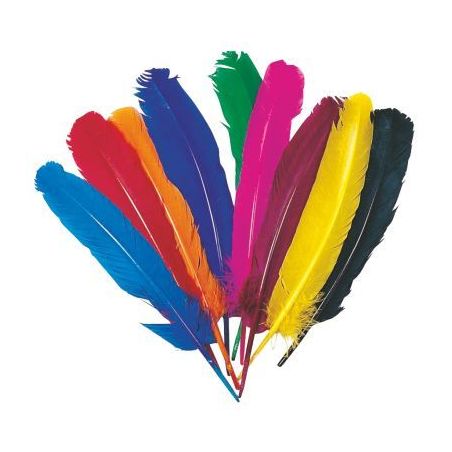 Achetez Sachet de 12 plumes d'indien couleurs assorties SC00655 pas cher sur Ma Rentrée Scolaire