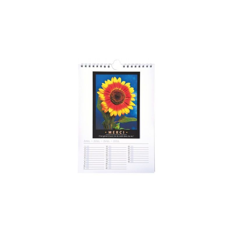 Achetez Calendrier à décorer format : 17x24 cm 2314 pas cher sur Ma Rentrée Scolaire Achetez Calendrier à décorer format : 17x24 cm 2314 pas cher sur Ma Rentrée Scolaire