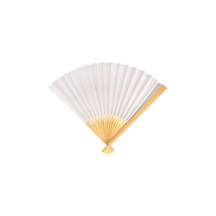 Lot de 10 éventails en papier MAJ4245