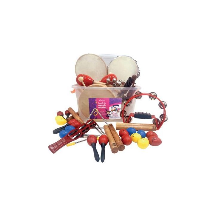 Malle de 25 instruments des apprentis musiciens 78506 FUZEAU