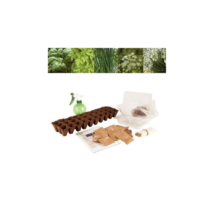 Carton de 30 sachets de graines aromates bio 026830