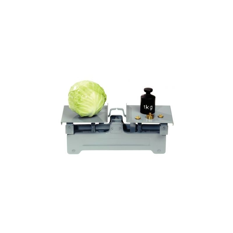 Achetez Balance métal à  2 plateaux 85269 pas cher sur Ma Rentrée Scolaire